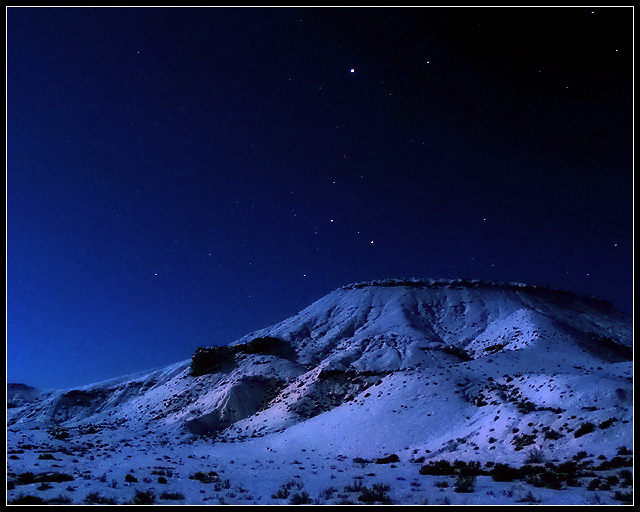 Desert Moonlight