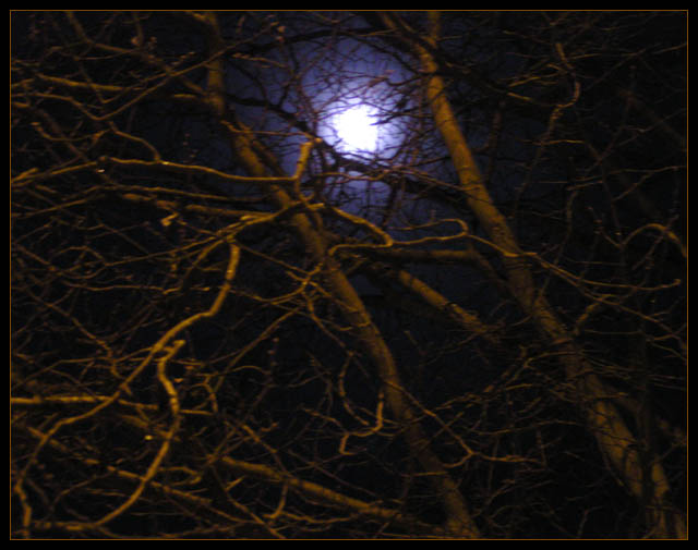 Moonstruck