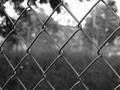 Fenced In