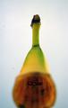 Dole...yum
