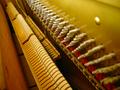 The Music Box