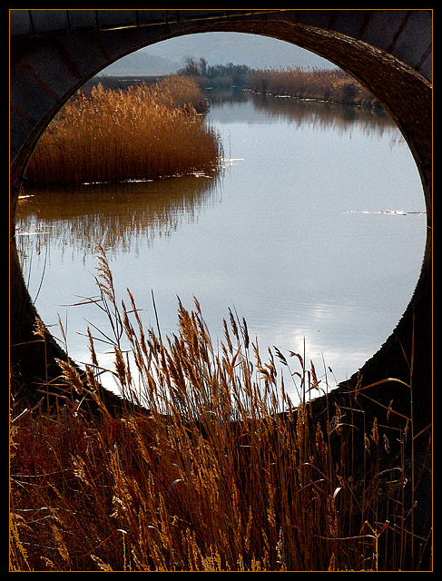 By the stone bridge in the swamps.