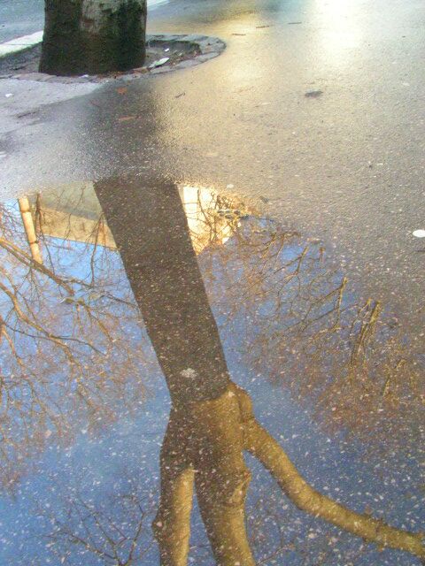 is this me or my reflection?