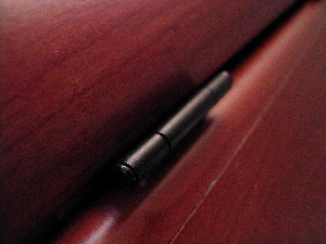 Hinged Perspective