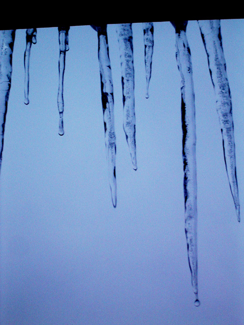 Dieing Blue