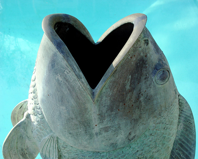 To another fish...she's all heart!