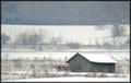 Shed in a field in winter