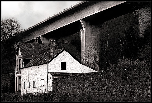 Overrun by Progress