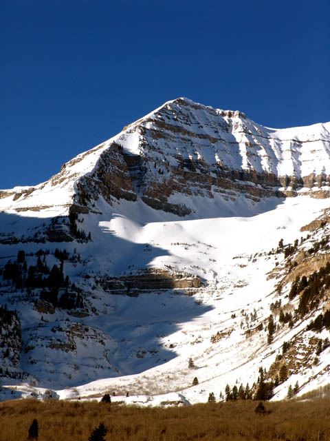 Rocky Mountain Morning