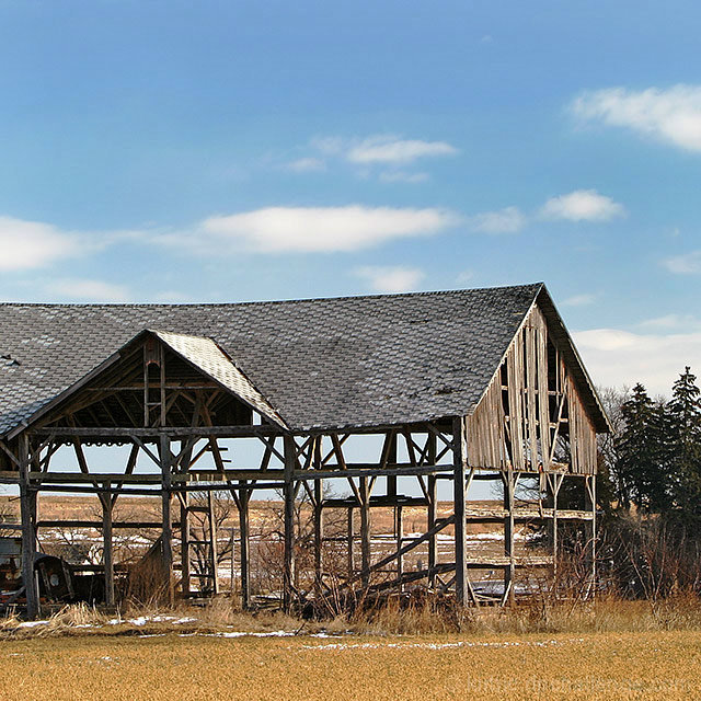 The Disappearance of America's Family Farms