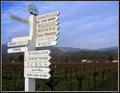 Guide to the Sonoma Valley