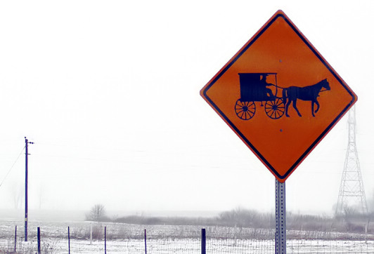Buggy Crossing