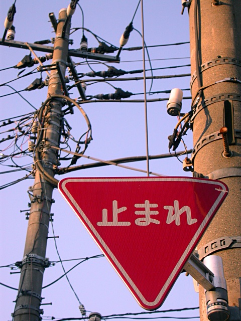 Tokyo-style