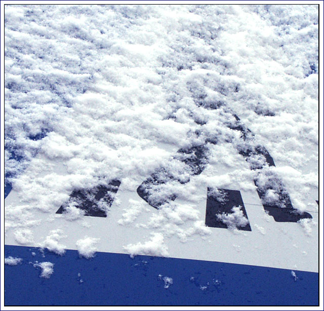 Walking in the snow
