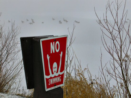 No Swimming! No problem . . .