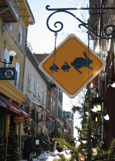 Road signs in Wonderland