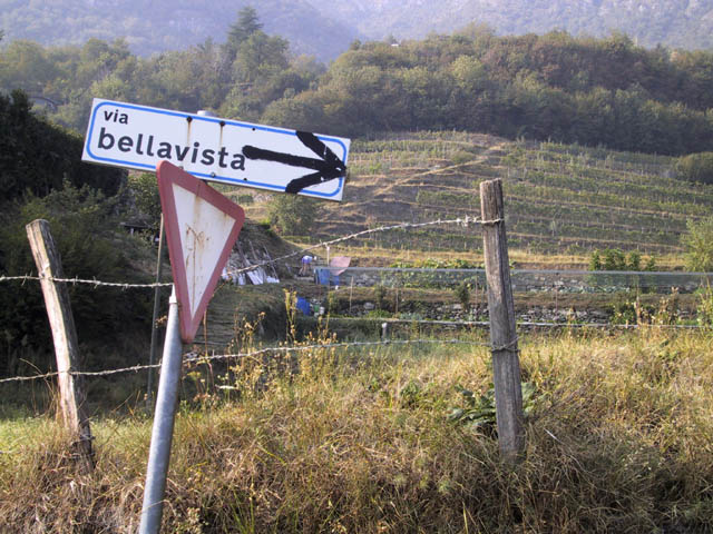 Italian Countryside