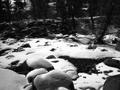 The Creek