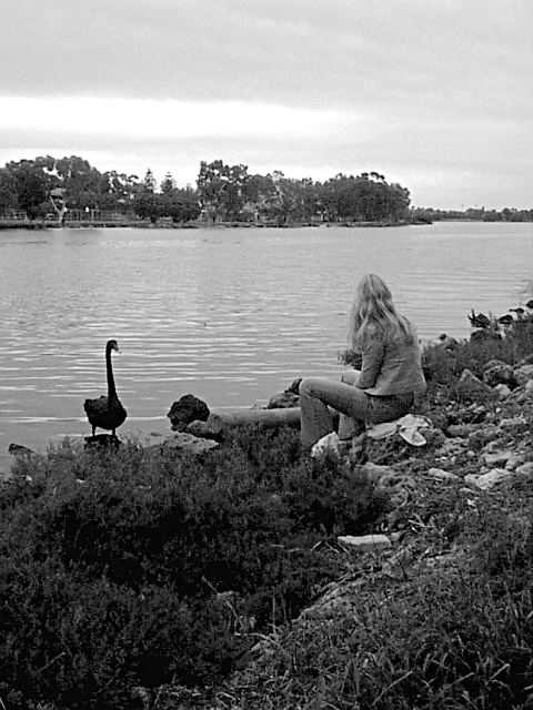 Girl and Black Swan