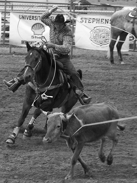 Yeeeee-haw!