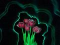 Flower Power