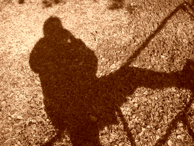 Just Me and My Shadow