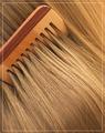 Comb & Hair