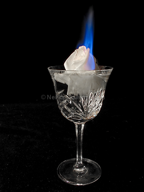 Fire, Flower (earth), and Water (and of course air!)