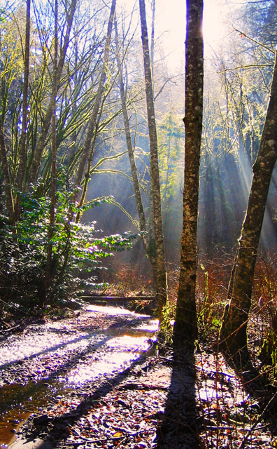 Up Element Creek