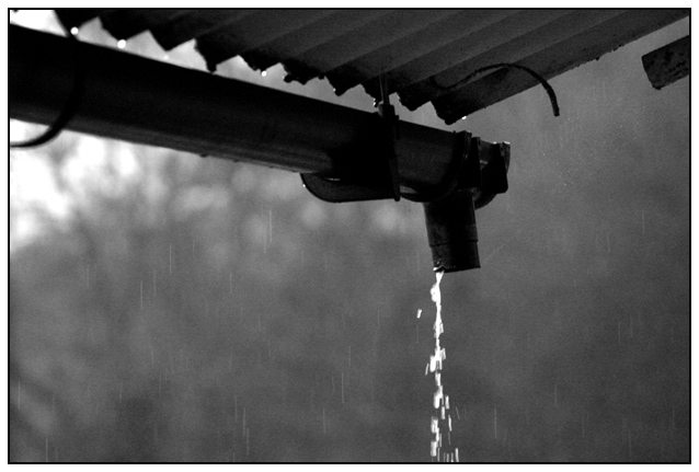 Rainfall