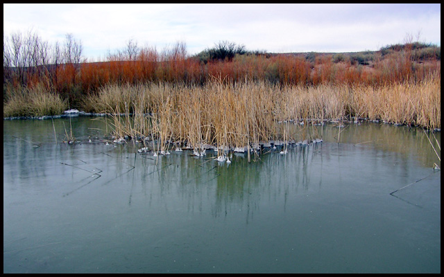 Bosque del Apache Wetlands