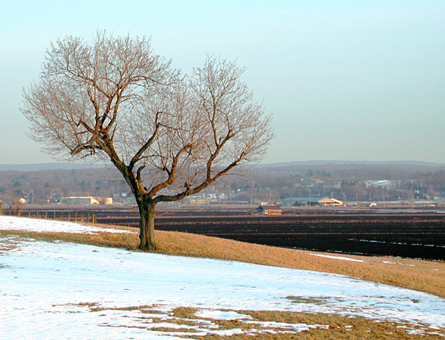 Earth and Frozen Water