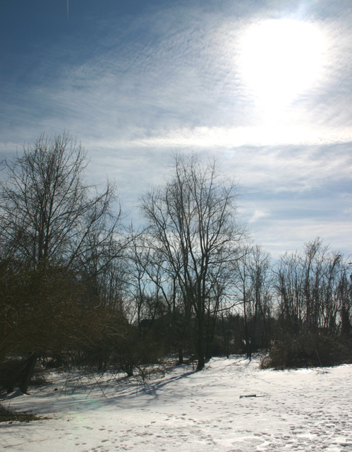 Four Elements of a Snowy Day