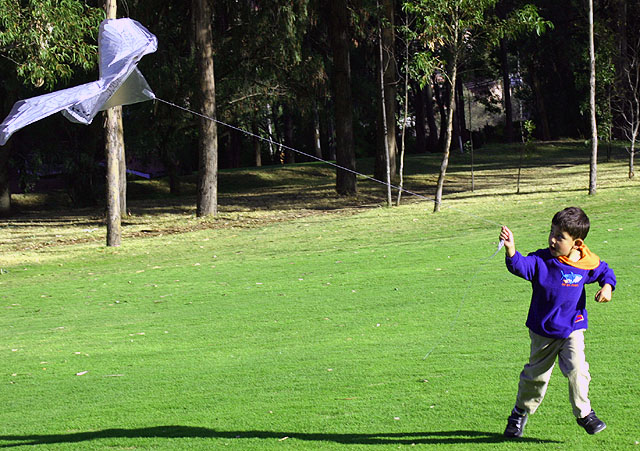 Playing with the wind