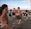 polar plunge