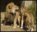 Get Outta My Face!!