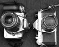 Digital vs. Film