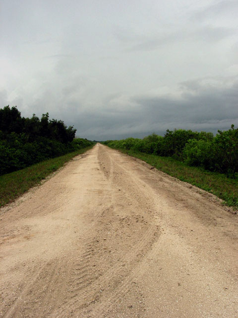 The road