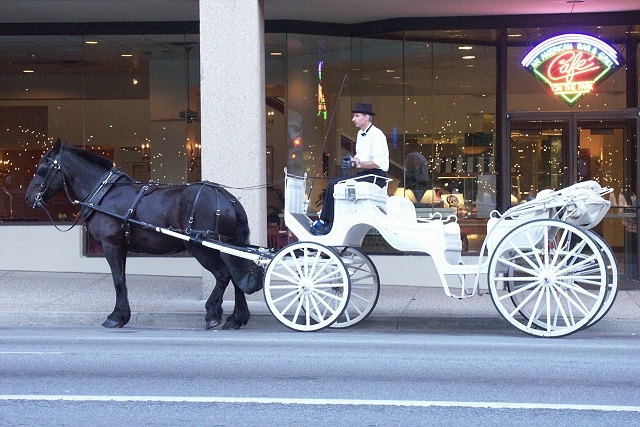 Carriage Ride