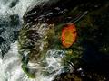 Textures in the water