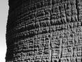 Palm Surface