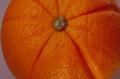 Orange Orange