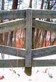 Fenced in