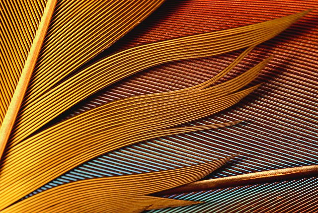 Pin-Stripped Suit