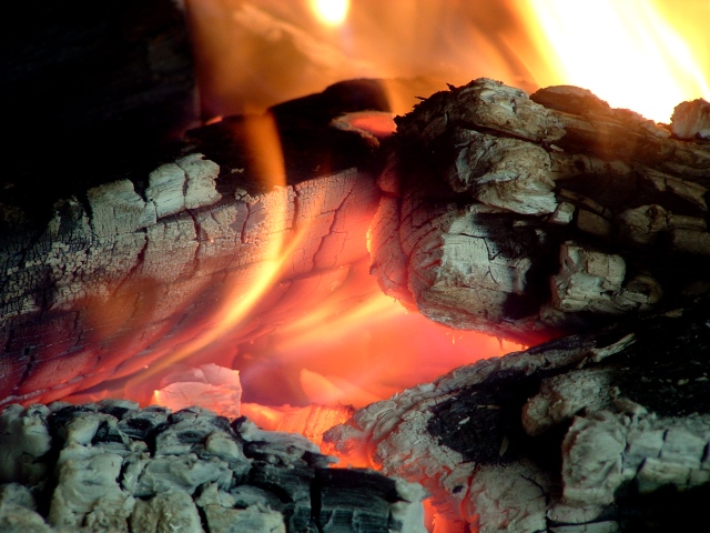 Log Fire