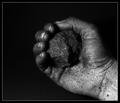 Coal made once the world go 'round