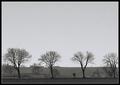 Going somewhere - most likely in a head wind