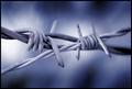 Barbed Wire