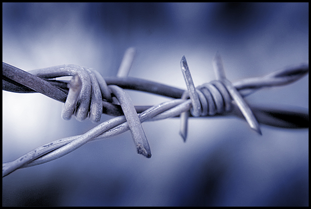 Barbed Wire
