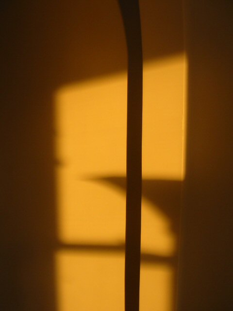 Wall